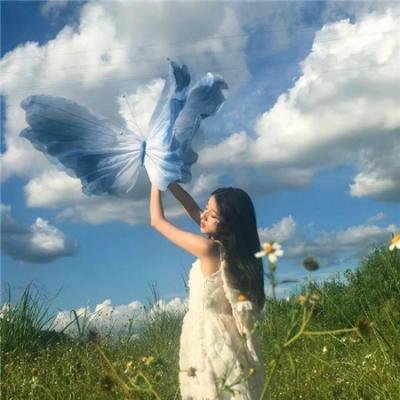 老处女日记